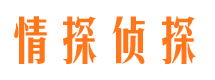 沭阳侦探公司